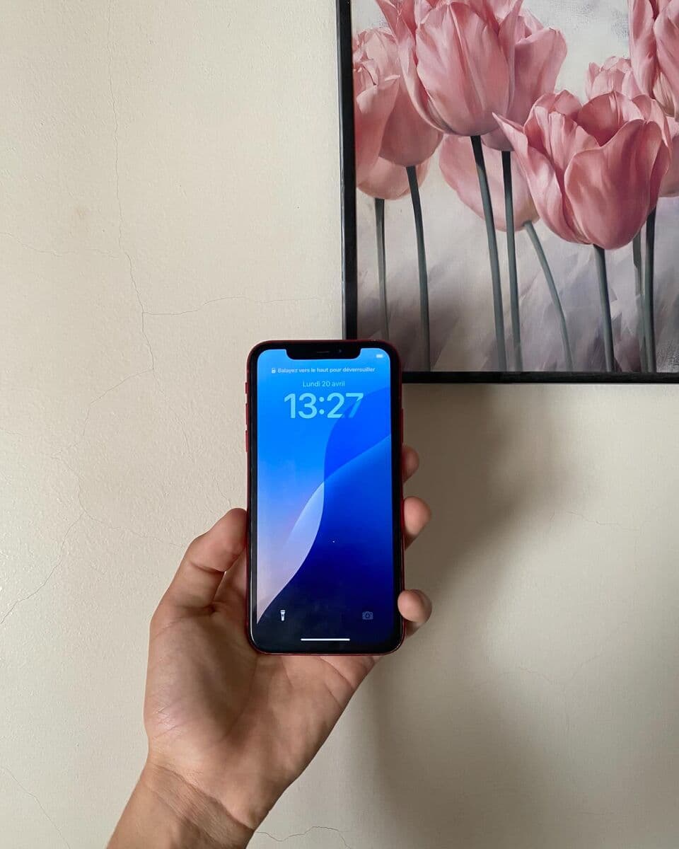 iPhone XR 64 Go occasion — miniature 4